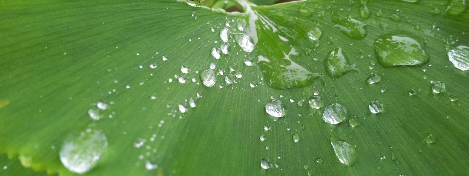 ADA Accessibility Upgrades