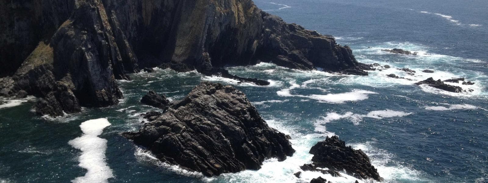 Bamboo Construction project by Custom Green Construction in Los Angeles, California