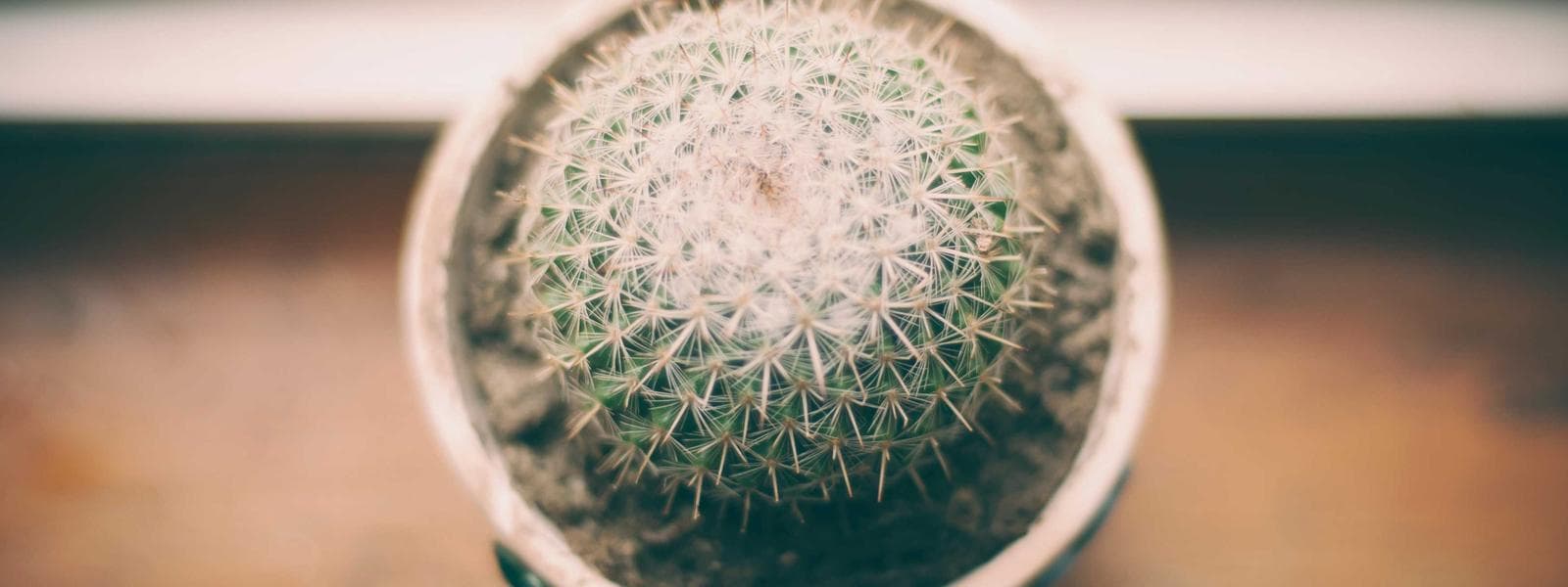 Commercial Building project by Custom Green Construction in Los Angeles, California