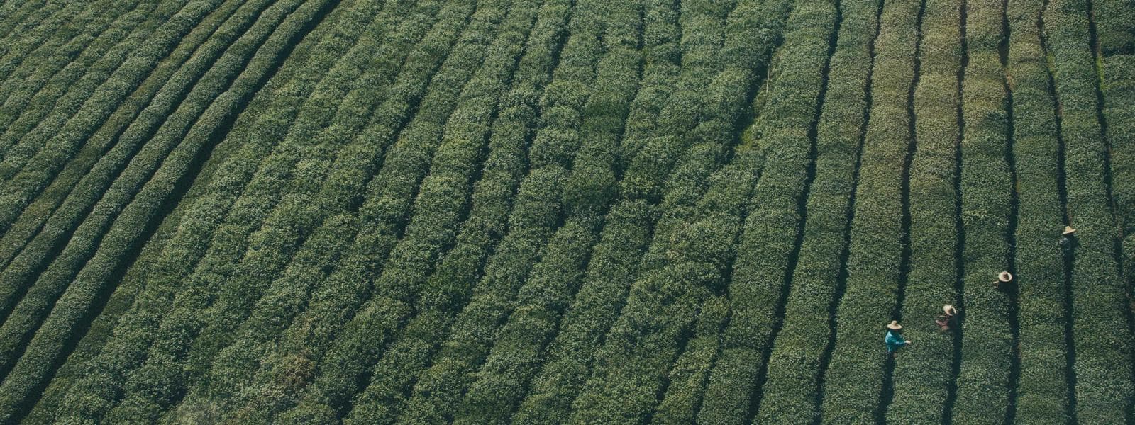 Data Center Infrastructure project by Custom Green Construction in Los Angeles, California