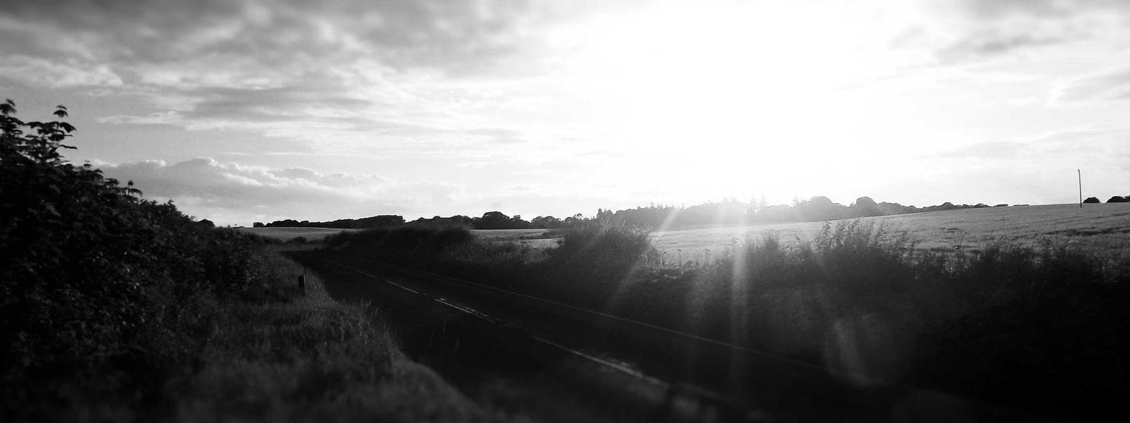 Decorative Concrete project by Custom Green Construction in Los Angeles, California