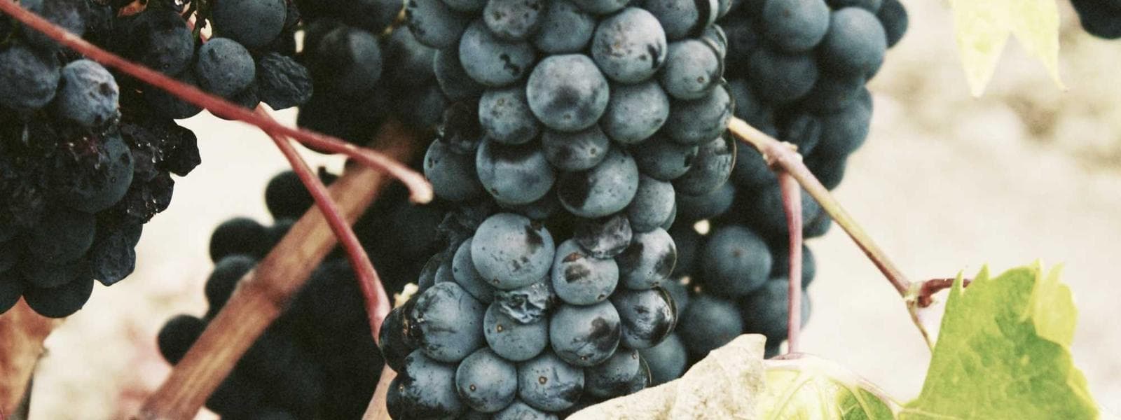 Energy Efficiency Consulting project by Custom Green Construction in Los Angeles, California