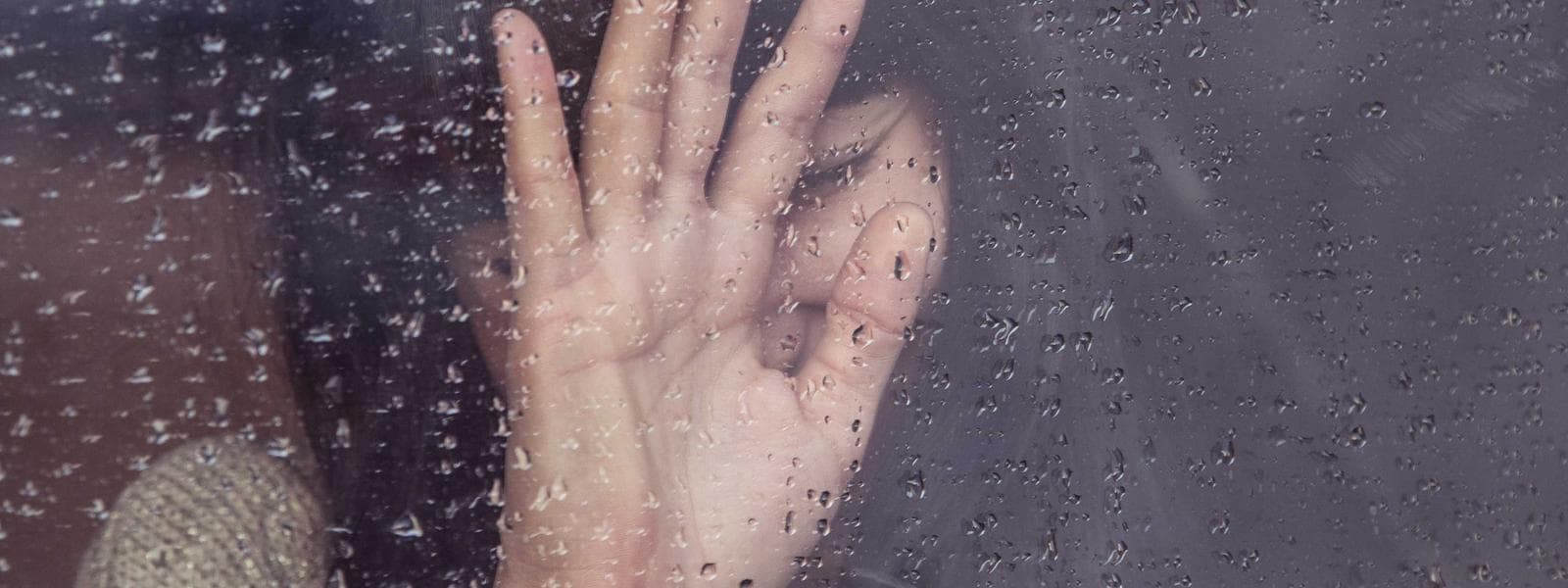 Fiber Cement Cladding project by Custom Green Construction in Los Angeles, California