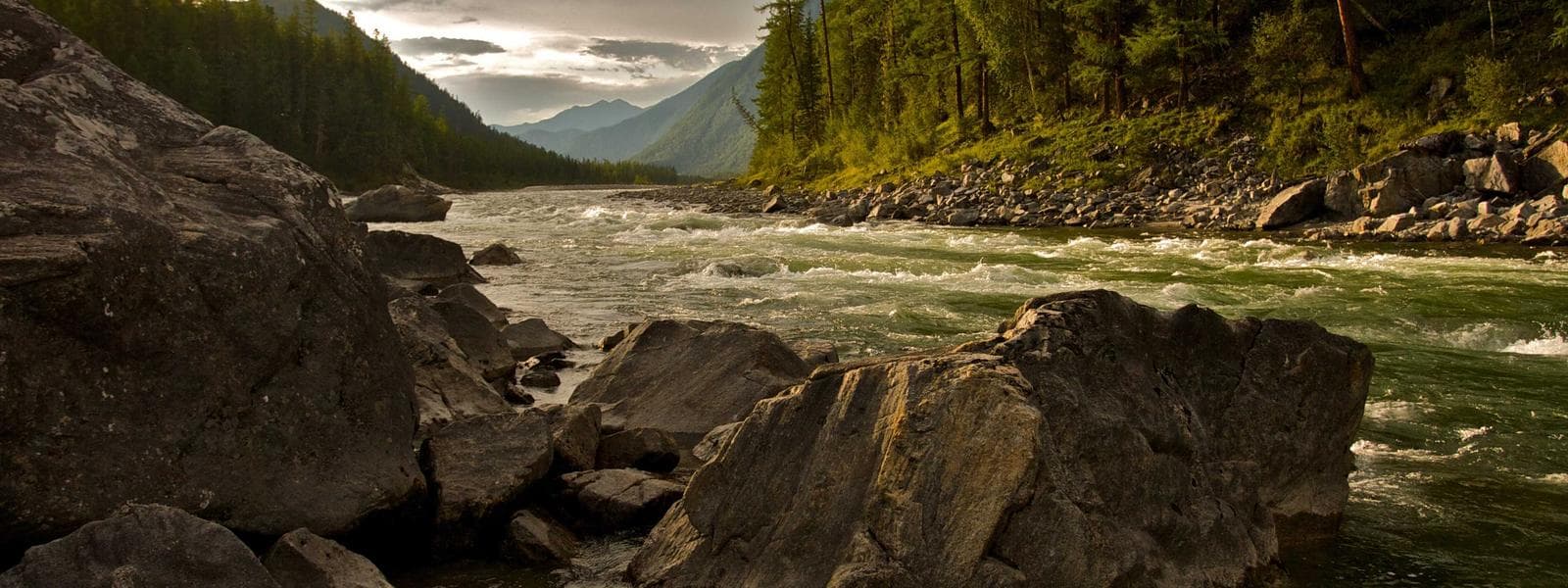 Garage Conversions project by Custom Green Construction in Los Angeles, California