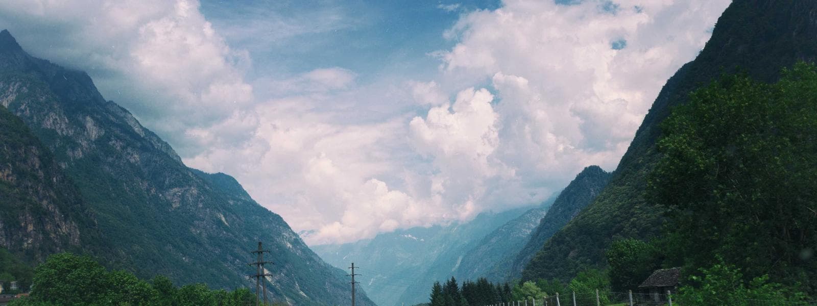Green Roof Installation