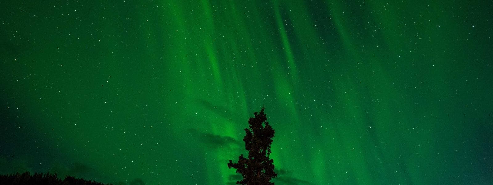 ICF (Insulated Concrete Forms) project by Custom Green Construction in Los Angeles, California