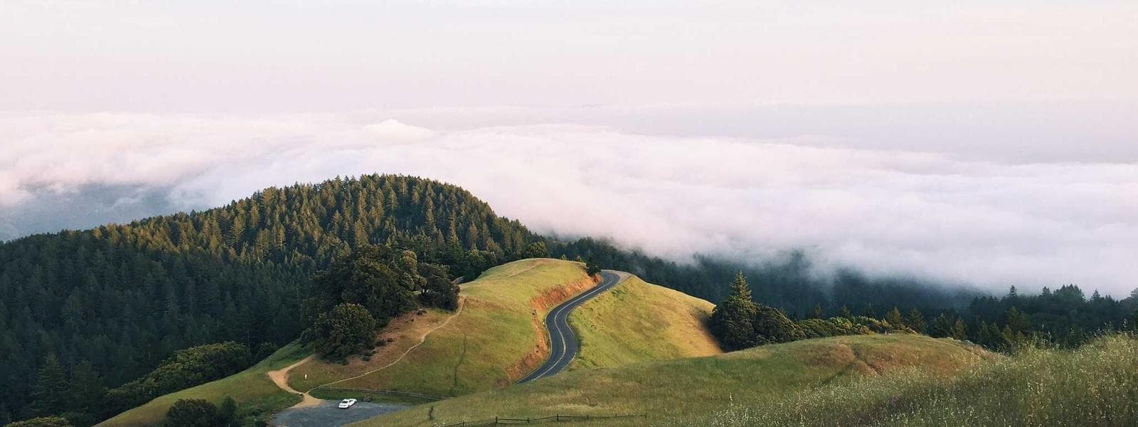 Industrial Construction