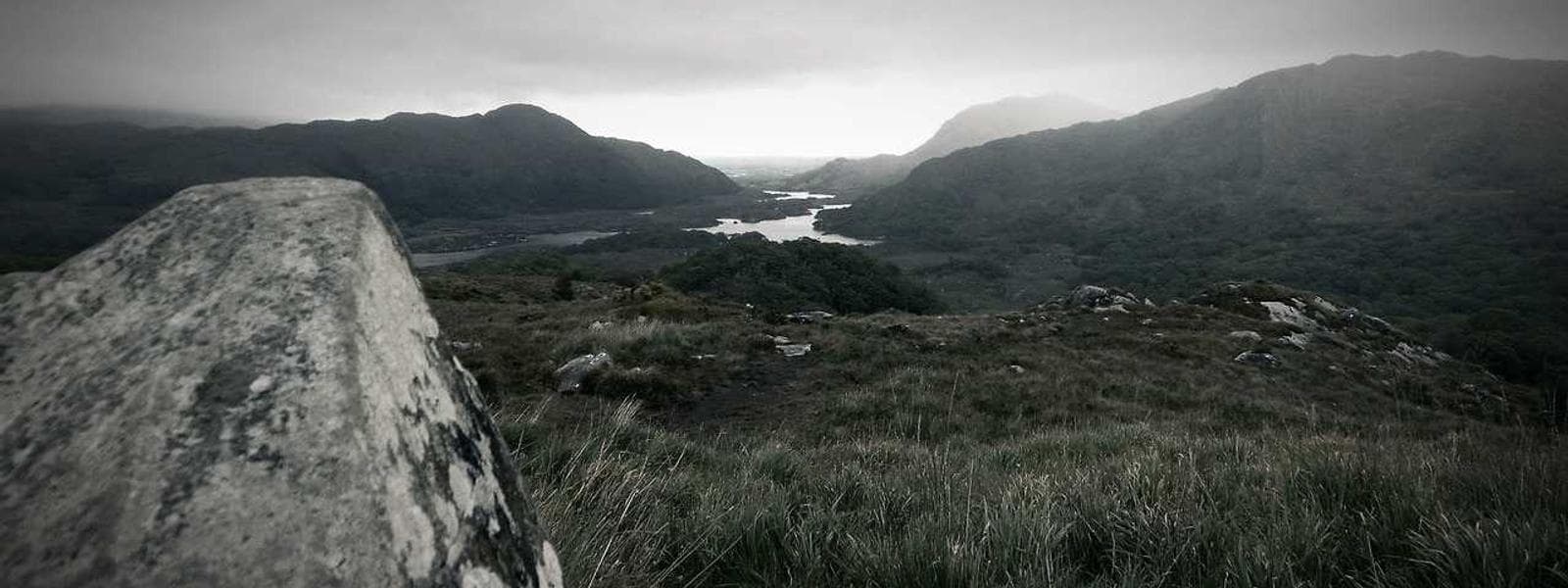 Insulation Installation project by Custom Green Construction in Los Angeles, California