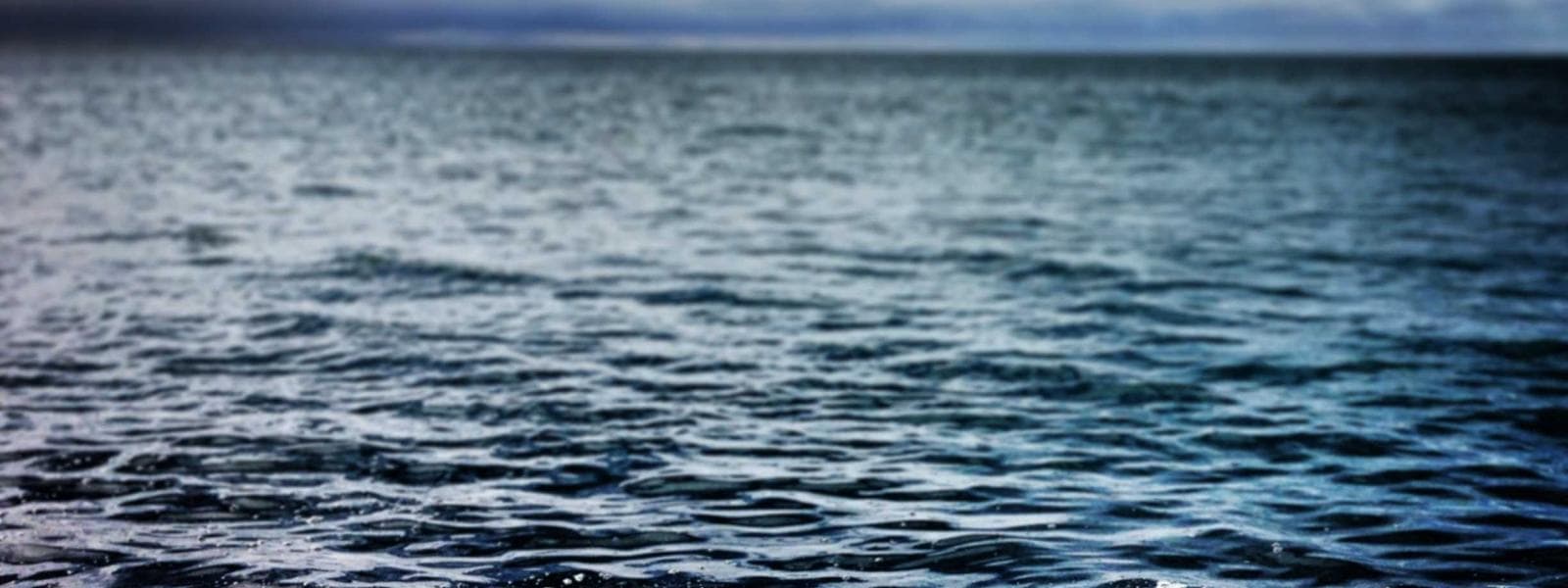 Lighting Design project by Custom Green Construction in Los Angeles, California