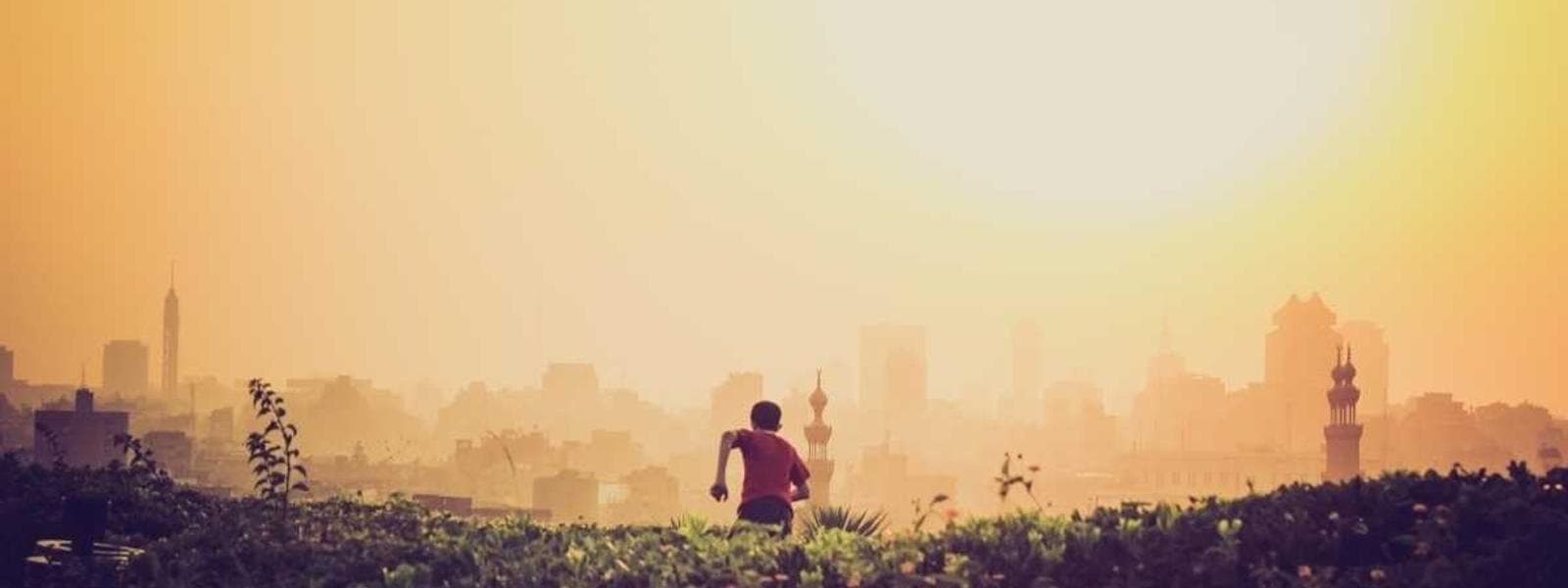 Mycelium Insulation project by Custom Green Construction in Los Angeles, California