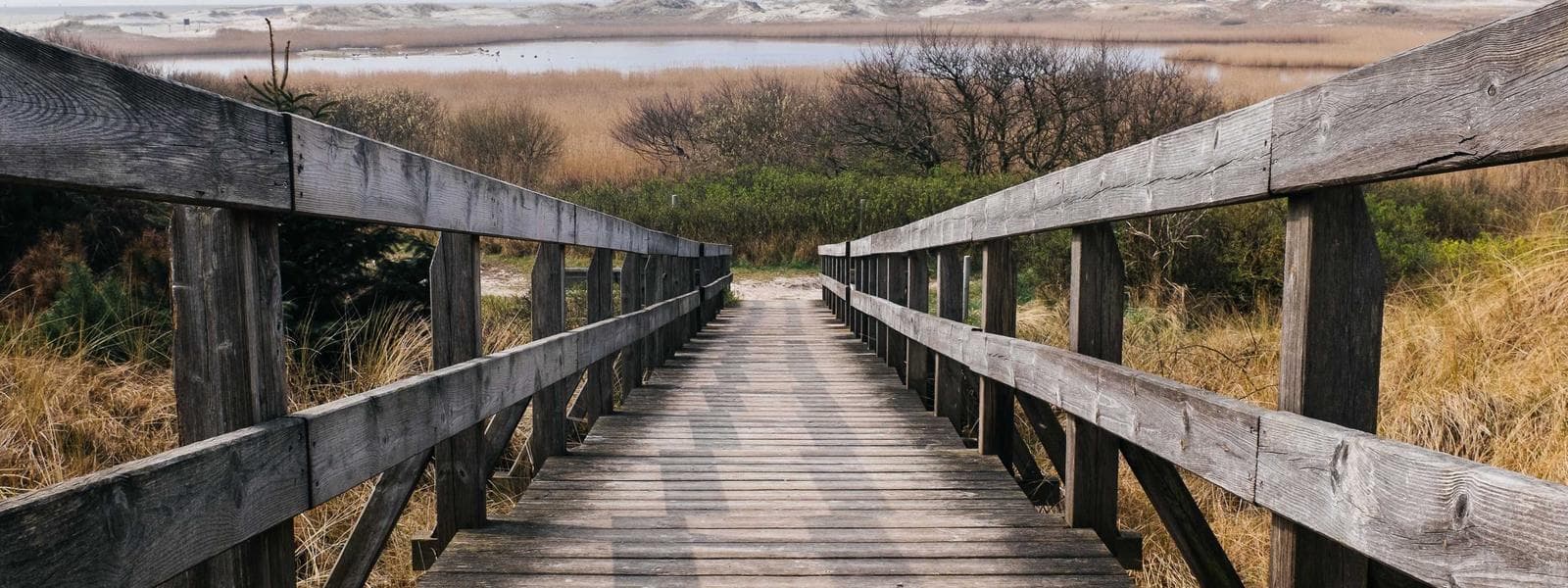 Net-Zero Energy Retrofits