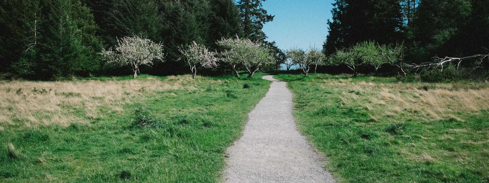 Passive House Construction project by Custom Green Construction in Los Angeles, California