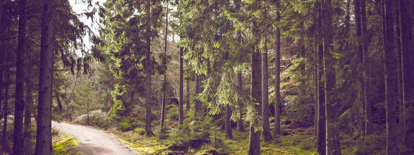 Pre-construction Consulting project by Custom Green Construction in Los Angeles, California