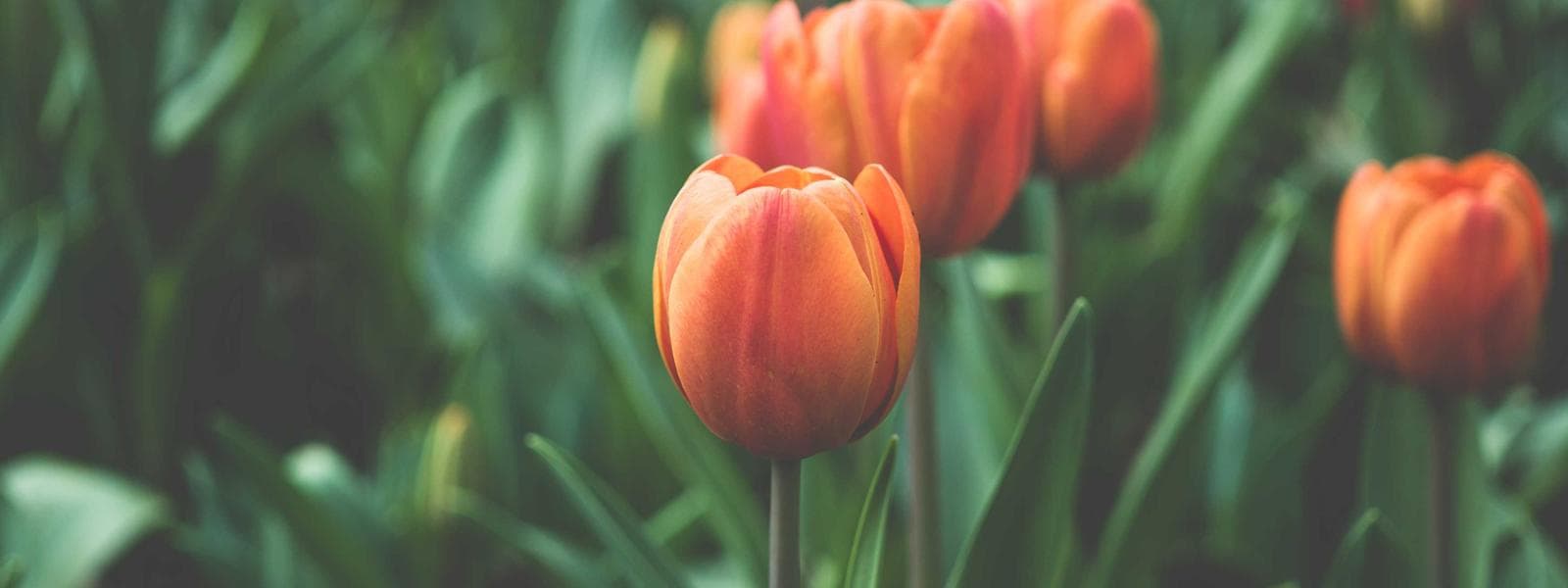 Remodeling Contractor project by Custom Green Construction in Los Angeles, California