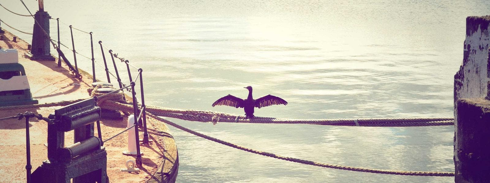 Retaining Walls project by Custom Green Construction in Los Angeles, California