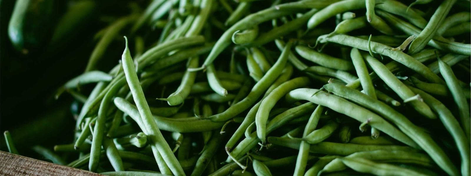 Smart Home Automation