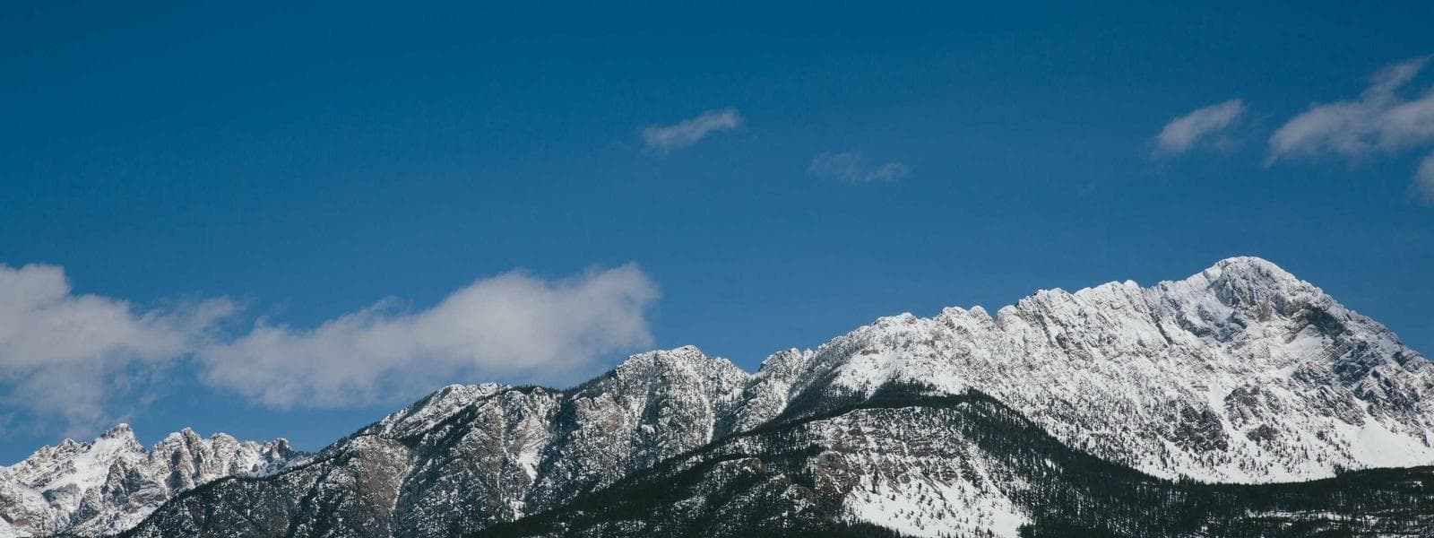 Tenant Improvements project by Custom Green Construction in Los Angeles, California