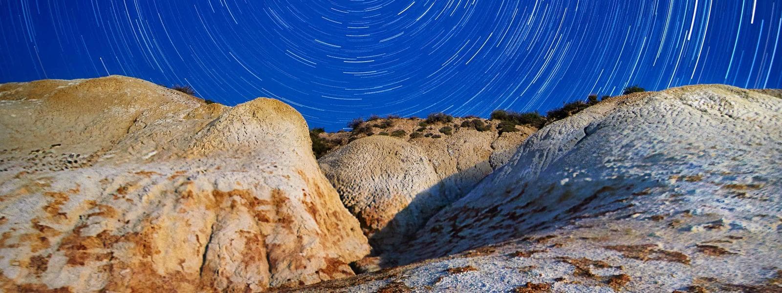 Tiny House Design & Build