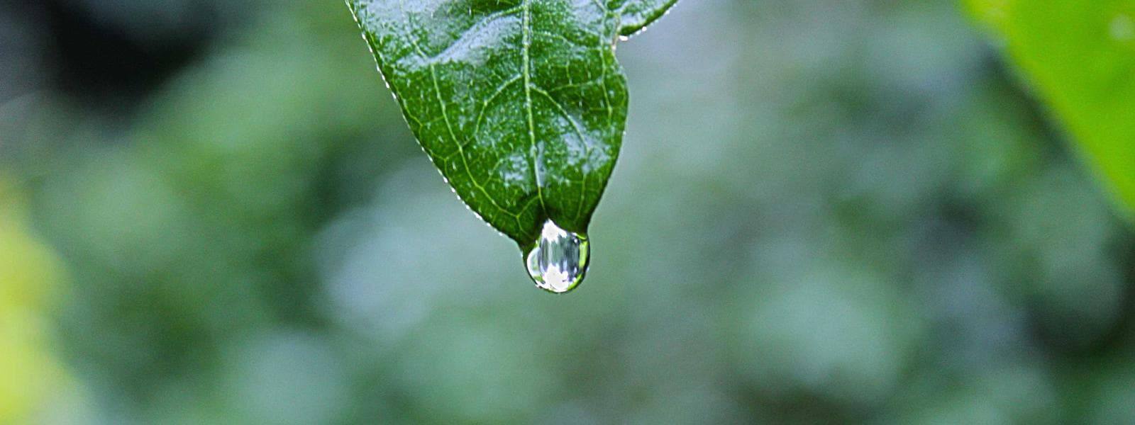 Window Installation project by Custom Green Construction in Los Angeles, California